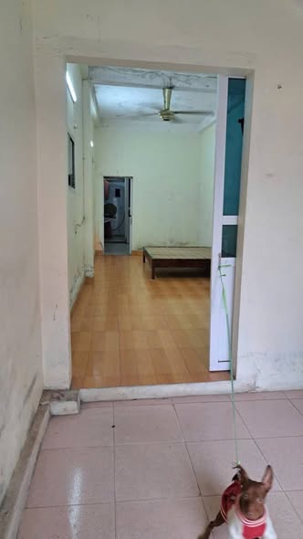 CHO THUÊ NHÀ 2 TẦNG ĐƯỜNG BÙI BẰNG ĐOÀN