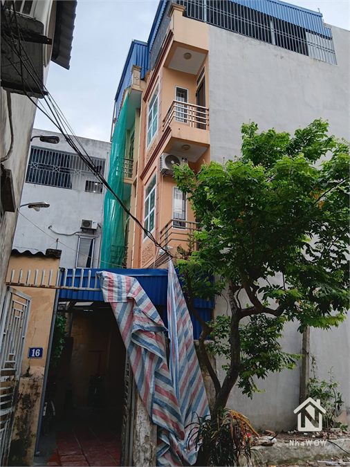 Cù chính lan