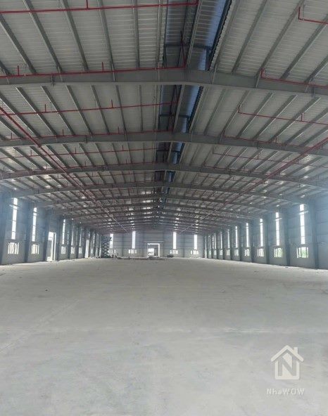 CĐT MỜI THUÊ XƯỞNG SỢI 4000m TẠI NAM ĐỊNH